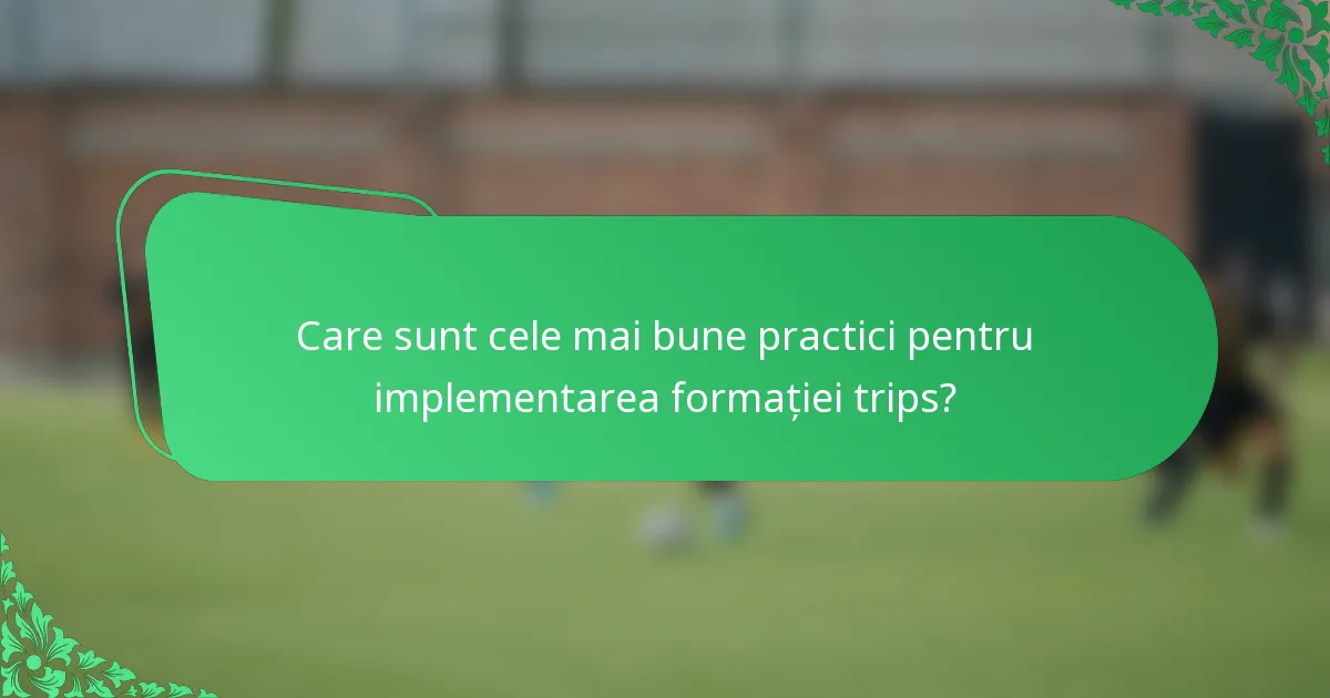 Care sunt cele mai bune practici pentru implementarea formației trips?