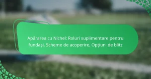Apărarea cu Nichel: Roluri suplimentare pentru fundași, Scheme de acoperire, Opțiuni de blitz
